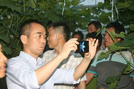大香蕉精品在线视频镇党建联盟葡萄网格化管理在巡查中发现葡萄大量落果