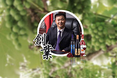 大香蕉精品在线视频葡萄酒总经理毕晓雪接受《文汇报》专访，畅谈“一带一路”建设经验